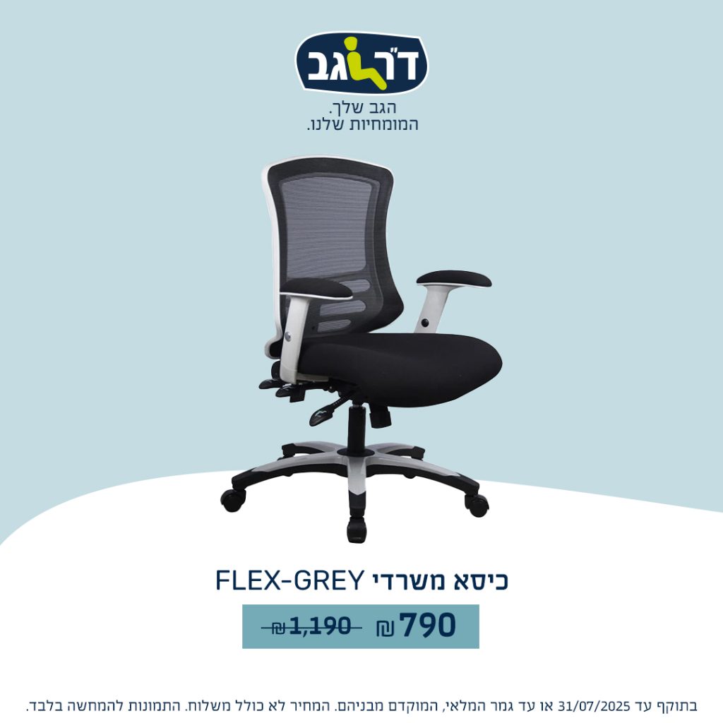 דר גב. כיסאות 3
