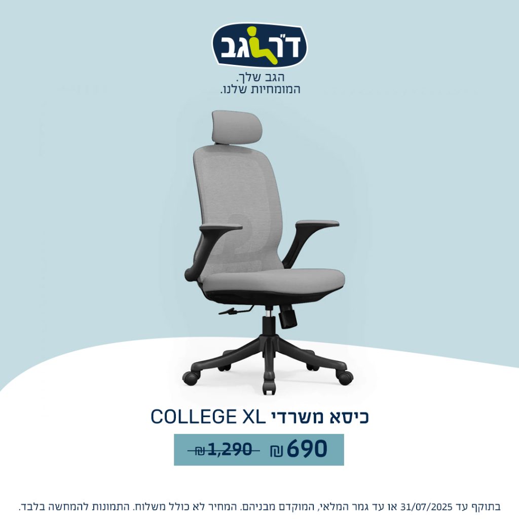 דר גב. כיסאות 6