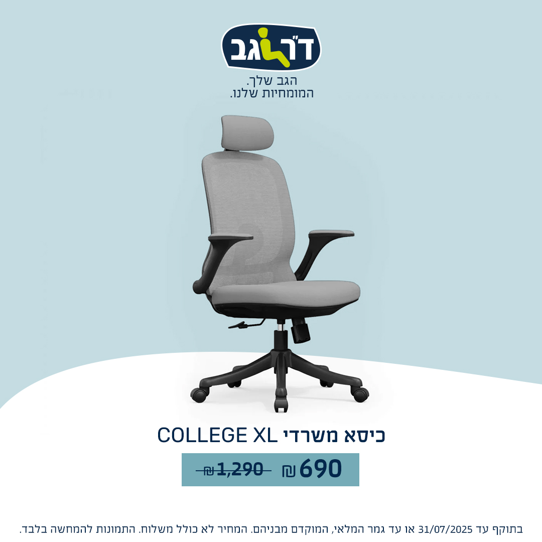 דר גב. כיסאות 6